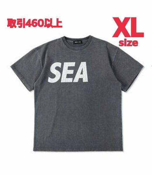 WIND AND SEA (CRACK-P-DYE) S/S TEE / CHARCOAL_WHITE XLサイズ ウィンダンシー クラック タイダイ 半袖 Tシャツ チャコール グレー