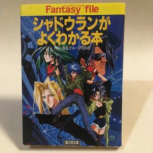 シャドウランがよくわかる本 村川忍&グループSNE 森山大輔 富士見書房 富士見文庫 平成9年再版