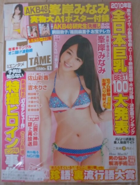 【送料無料】峯岸みなみ 未開封 月刊エンタメ 2011年1月号 入手困難 佐山彩香 吉木りさ 熊田曜子 小野真弓 次原かな 清水ゆう子 夏垣佳奈