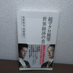 超マクロ展望世界経済の真実 （集英社新書　０５６８） 水野和夫／著　萱野稔人／著