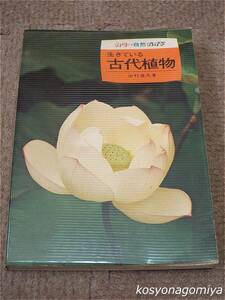 471カラー自然ガイド【生きている古代植物】田村道夫著／昭和49年・保育社発行■ビニールカバー付き