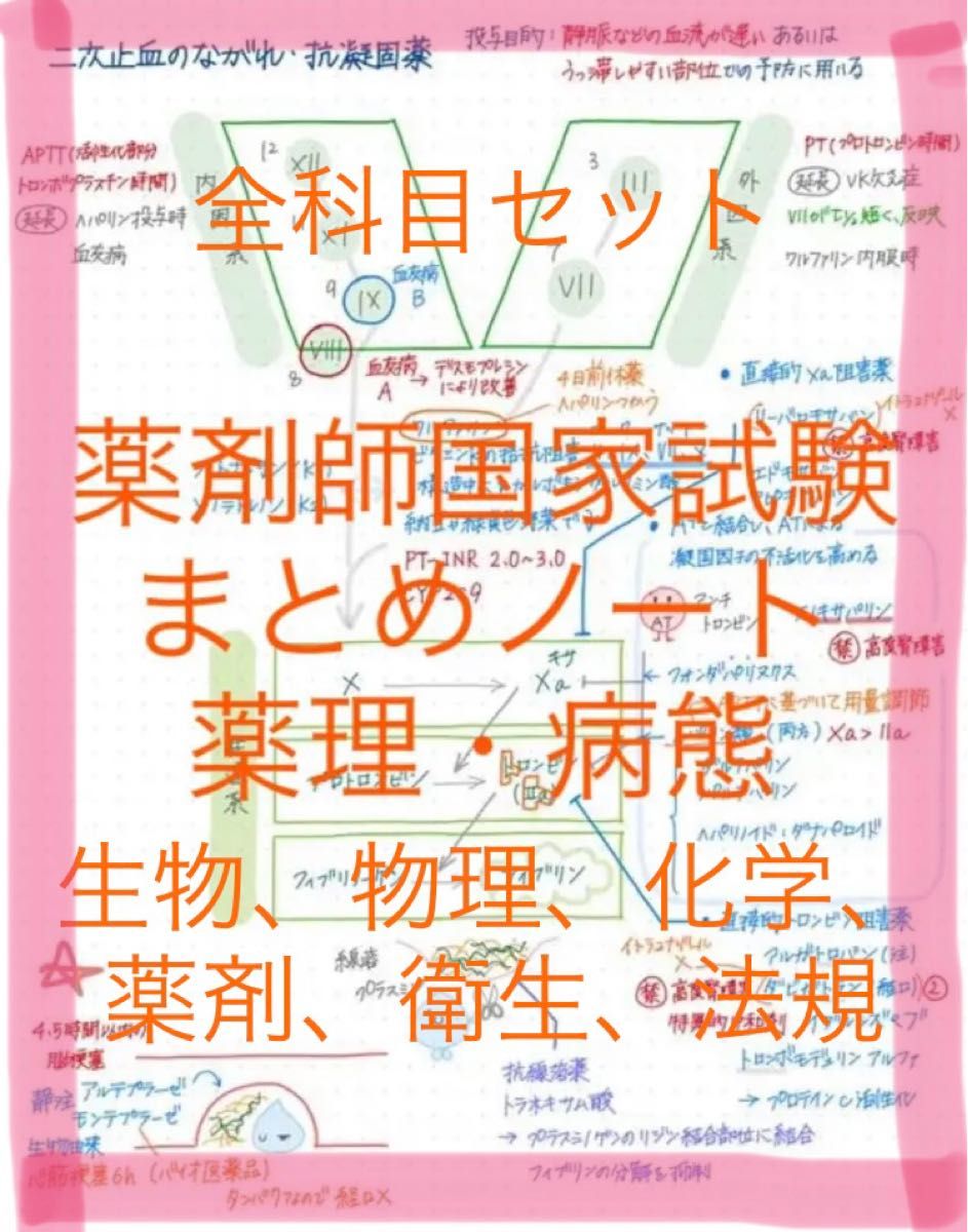 薬学まとめノート 全科目セット 薬剤師国家試験 薬学部 - 参考書 薬学まとめノート 全科目セット 薬剤師国家試験 薬学部 - 参考書