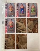 BBM　2000年　大相撲カード　豪華化粧廻しセット　雅_画像8