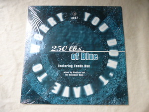 250 Lbs. Of Blue ft. Fonda Rae / You Don't Have To Worry シュリンク付 アップリフト VOCAL HOUSE 12 DJ Spen 収録　試聴