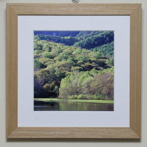  frame photograph [ mirror .. new green ]