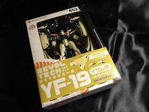 【貴重!当時物 新品未開封】海洋堂 リボルテック ヤマグチシリーズ マクロスプラス YF-19 イサム機 バトロイドタイプ_画像1