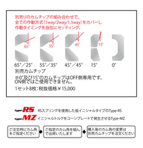 【CUSCO/クスコ】 プロ・アジャストLSD type-RS スバル フォレスター STi SG9 2004.2 ~2007.12 リア [LSD-182-R]_画像2