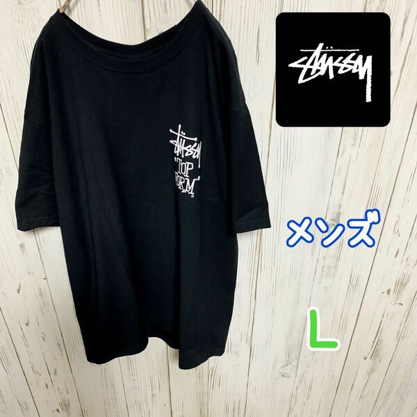 【即時発送・並行輸入品】ステューシー Tシャツ 半袖 STUSSY メンズ