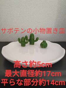 サボテンの小物置き皿　中古品