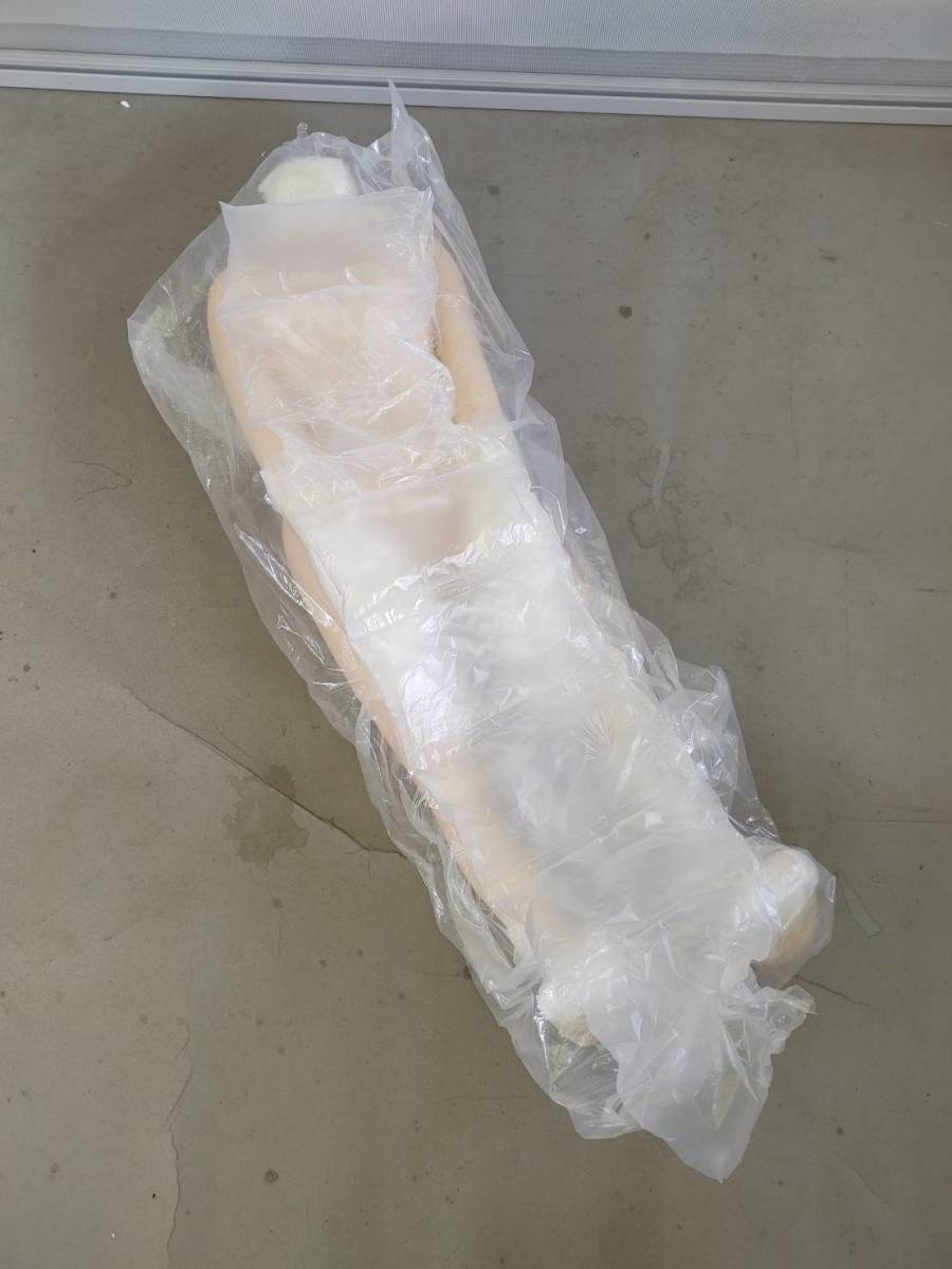 未使用品】 1円~!! Aoneed TPE製 塗装済み 完成品フィギュア スケール