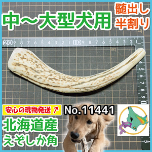 鹿の角 犬 現物発送 ■ 中～大型犬用 ■ 天然 北海道産 蝦夷鹿の角 ■ 半割り 1本 ■ 犬のおもちゃ ■ 無添加 エゾシカ ツノ　11441