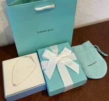 新品 正規品 ティファニー tiffany&co ブレスレット バイヤザード ピンクサファイア シルバー ケース巾着紙袋リボン カラーストーン ピンク_画像6