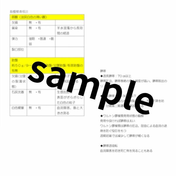 助産学生向け　実習観察項目　ポケットノート貼り付け用&事前学習ノート