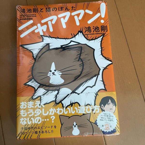 ニャアアアン 鴻池剛と猫のぽんた