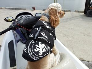 [WING] free shipping *Quakysense*EMBLEM DOG VEST( dog the best ) dog for life jacket DOG315 L,XL size *