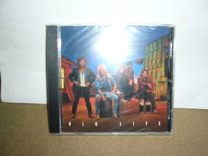 Night Ranger A.O.R.～メロディアス系隠れ名盤4th「Big Life」　輸入盤未開封新品。