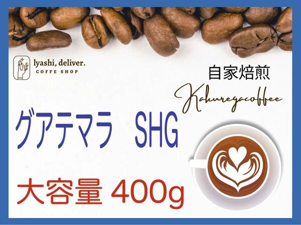 自家焙煎珈琲 グアテマラ SHG 大容量 400g