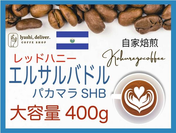 自家焙煎珈琲　エルサルバドル　パカマラSHGレッドハニー希少　400g 珈琲　