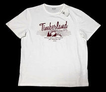 【希少特大サイズ】新品タグ付 Timberland クラフトデザイン Tシャツ US XXLサイズ ティンバーランド 登山 アウトドア キャンプ_画像1