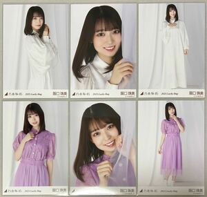 乃木坂46 阪口珠美 WEB SHOP限定 Lucky Bag 2023 福袋 パステル カレンダー衣装 生写真 6枚 コンプ 数量2 検)ヨリ チュウ ヒキ 3期生 6種