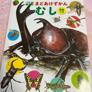 まどあけずかん むし 小学館の図鑑NEO カバー付き