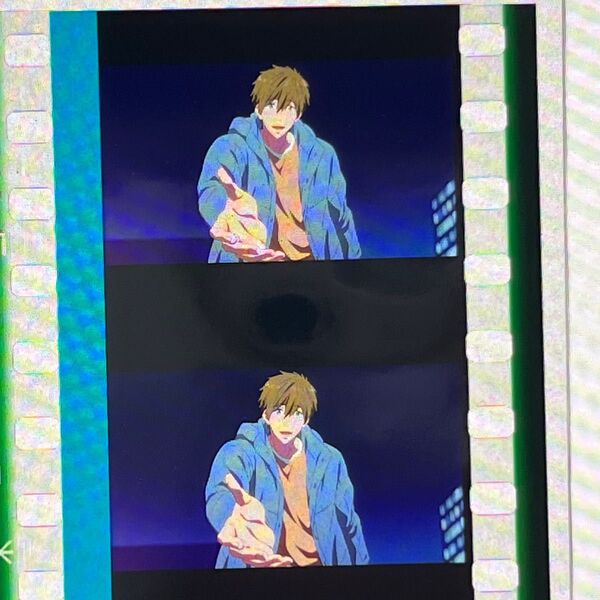 free フィルム 真琴 橘真琴 ナイトプール 2人ともお疲れ 入場特典 劇場版 Free! 入場者特典