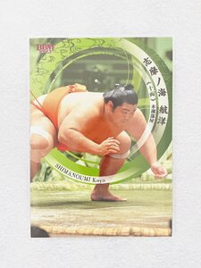 ☆ BBM2023 大相撲カード レギュラーカード 57 志摩ノ海航洋 十両 ☆