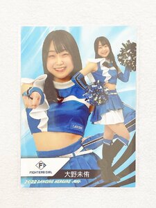 ☆ BBM プロ野球チアリーダーカード 2022 DANCING HEROINE 舞 舞68 日本ハムファイターズ FIGHTERS GIRL 大野未侑 ☆