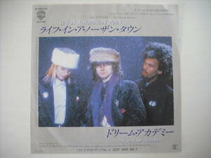 【7インチ】【'85 国内盤】【80s 名曲】DREAM ACADEMY / LIFE IN A NORTHERN TOWN