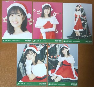 乃木坂46　柴田柚菜　2019.Christmas　Web限定　個別生写真　5種　サンタ