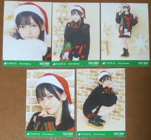 乃木坂46　池田瑛紗　2022.Christmas　Web限定　個別生写真　5種　サンタ