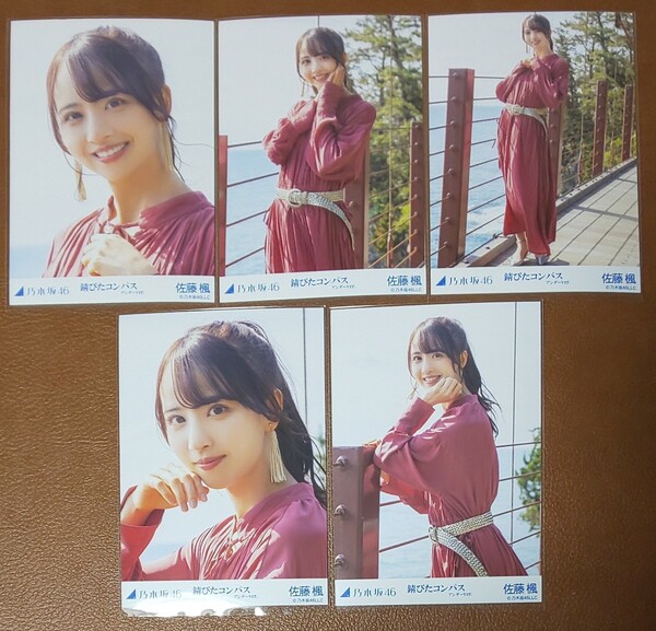 乃木坂46 佐藤楓 錆びたコンパス アンダーver. Web限定 個別生写真 5種