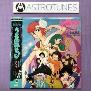  царапина нет прекрасный запись Urusei Yatsura Urusei Yatsura 1983 год 2 листов комплект LP запись драма сборник on Lee * You совершенно сбор версия с лентой высота .. прекрасный . Kobayashi Izumi прекрасный 