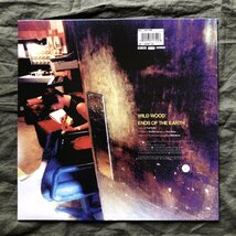 良盤 良ジャケ レア盤 1993年 欧州オリジナル盤 ポール・ウェラー Paul Weller 10''レコード Wild Wood 限定版 シリアル# 02350 ポスター付_画像2
