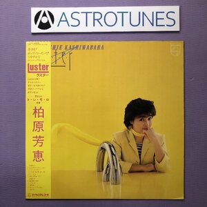 レア盤 柏原芳恵 Yoshie Kashiwabara 1984年 LPレコード ラスター Luster 国内盤 オリジナルリリース盤 J-Pop 矢島賢, 芳野藤丸, 高水健司