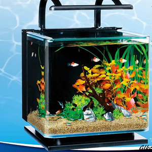 リビングキューブ 12 オールインワン水槽 淡水・海水用 (容量 約12L) ガラス 水槽 アクアリウム 熱帯魚 メダカ 金魚
