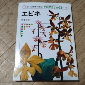 NHK 趣味の園芸 作業12か月 ⑧ エビネ 伊藤五彦 の画像1
