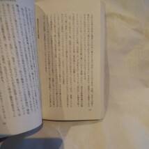 Ｊポップとは何か　巨大化する音楽産業 （岩波新書　新赤版　９４５） 烏賀陽弘道／著_画像3