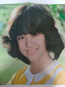 松田聖子　デビュー2年目 ! 　ピンナップ（両面）　稀少　レア　1981年　昭和56年　アイドル　写真提供 : グリコ　