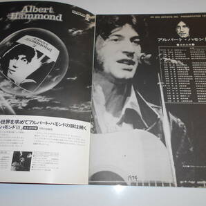 パンフレット プログラム(チラシ)テープ貼 1974年74 ALBERT HAMMOND アルバート・ハモンド japan program bookの画像2