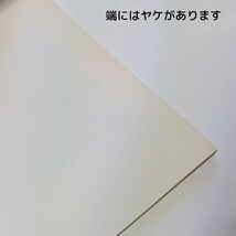 現代志野の匠　若尾利貞　華寂展 パンフレット_画像8