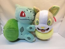 １円～ポケモン ぬいぐるみ フシギダネ ワンパチ ポニータ ラプラス ヒトカゲ ポッチャマ ピカチュウ ディグダ ミュウ カビゴン 23点セット_画像6