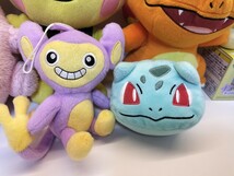 １円～ポケモン ぬいぐるみ ヒトカゲ モルペコ プリン ピチュー エイパム フシギダネ ポーチ ピカチュウ マグカップ トートバッグ 38点_画像2