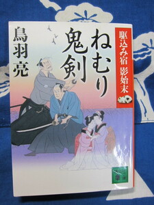 ねむり鬼剣 駆込み宿 影始末 　講談社文庫　鳥羽亮　著