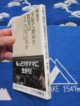 3年で辞めた若者はどこへ行ったのか　アウトサイダーの時代　ちくま新書　城繁幸 著　(2308)_画像2