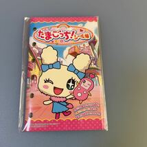 【非売品、未使用】たまごっち「たまごっち！シール帳」　DSソフト予約特典_画像1