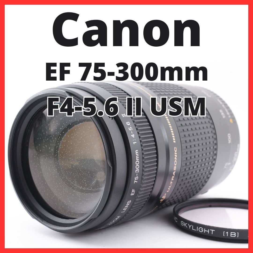 超安い 2SET☆大迫力300㎜⭐︎外観美品☆Canon EF75-300㎜ レンズ