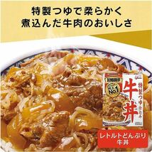 グリコ DONBURI亭 牛丼 160g×10個_画像3