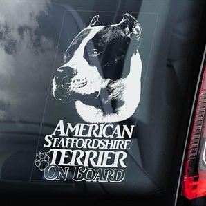 ◆アメリカン・スタッフォードシャー・テリア/アムスタフィー/スタッフィー⑬外張り カーステッカー 外貼り カー ステッカー シール 犬D13