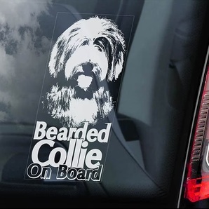 ◆ビアデッド・コリー / ベアデッド・コリー/ ベアディー 外張り カーステッカー 220×100mm 外貼り カー ステッカー 犬 シール@D3 3944